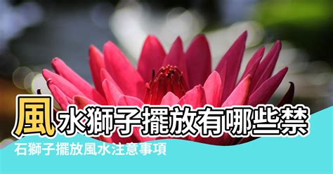 石獅子禁忌|【風水中放石獅子】風水中擺放石獅子的禁忌 